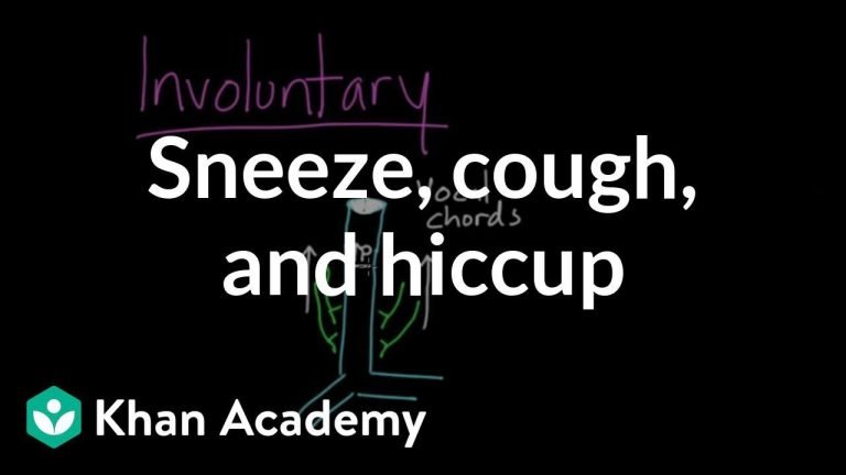 Understanding the Causes of Coughing and Hiccuping Simultaneously
